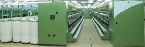 SVSM1