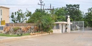 Rajapalayam Spintext